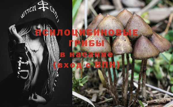 мескалин Алексеевка