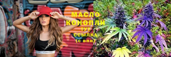 дмт Алексин