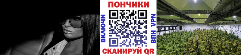 KRAKEN онион  Спасск  Шишки марихуана сатива 